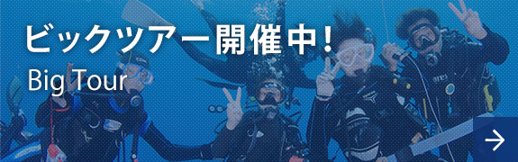 ビックツアー開催中！