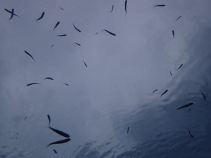 9月の3連休2週目　またしても台風が(;´Д｀)