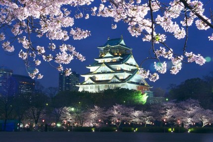 4月2日(火)　ダイプレ会　4月は夜桜に酔いしれましょう～