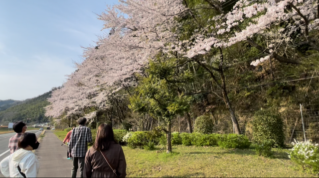 4月初串本です！